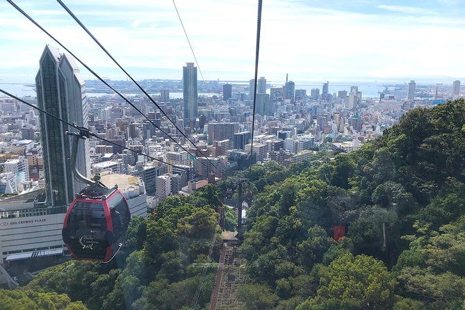 1-Day Kobe Highlights Tour including Sake Tasting - Kobe in one day, with less stress than DIY