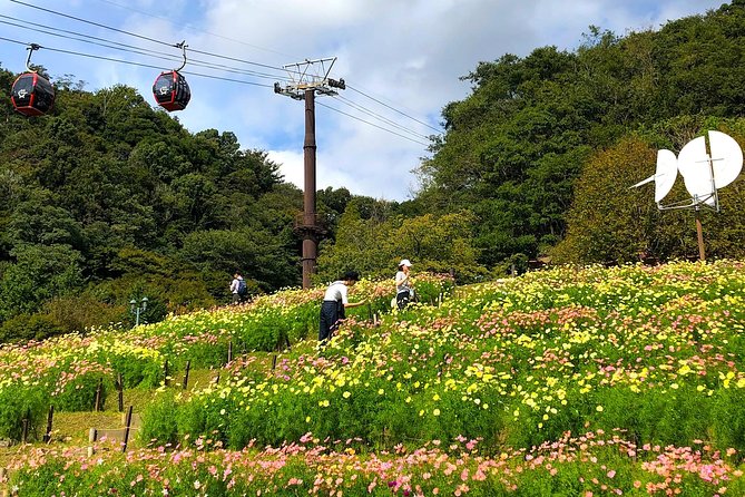 1-Day Kobe Highlights Tour including Sake Tasting - Hakutsuru Sake Brewery Museum and the tasting you came for