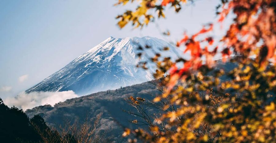 1-Day Mt Fuji and Hakone Sightseeing trip from Tokyo - Key highlights worth caring about