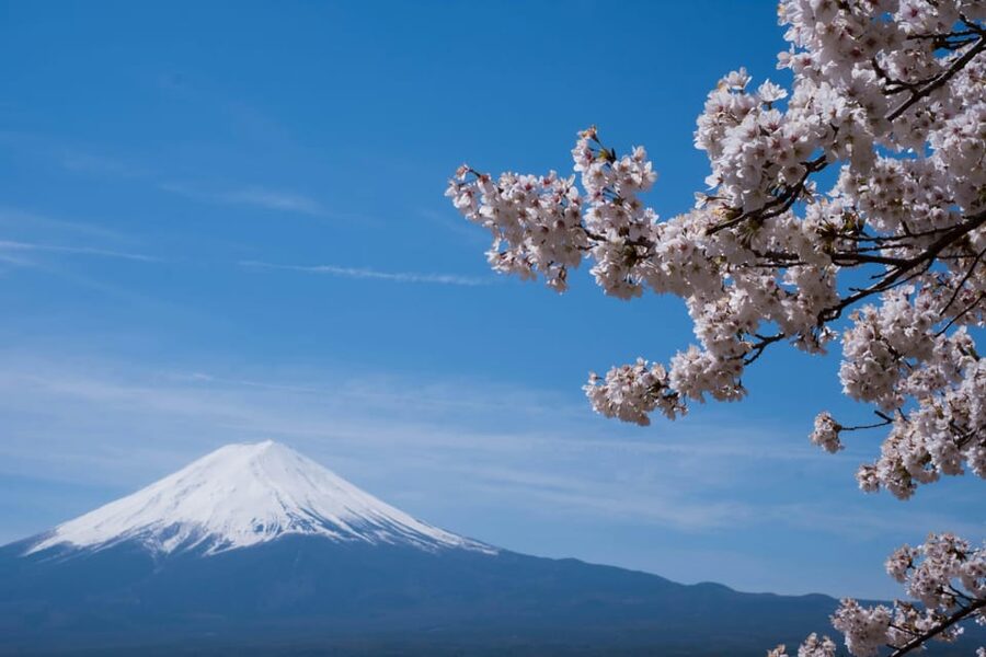 1-Day Mt Fuji and Hakone Sightseeing trip from Tokyo - Chureito Pagoda and Oishi Park: the photo rhythm of Hakone-Fuji country