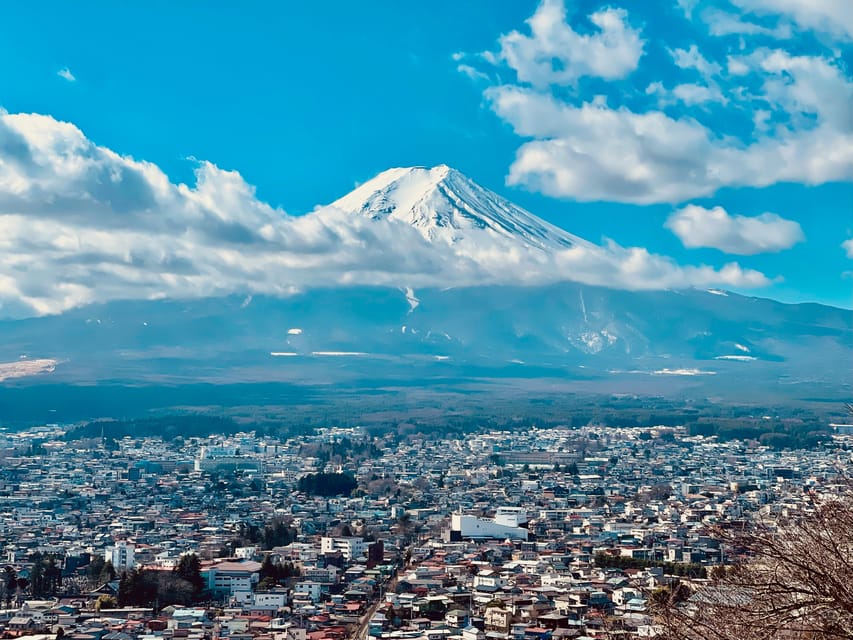 1-Day Mt Fuji and Hakone Sightseeing trip from Tokyo - Weather reality: when Fuji is hidden, plan to enjoy the day anyway