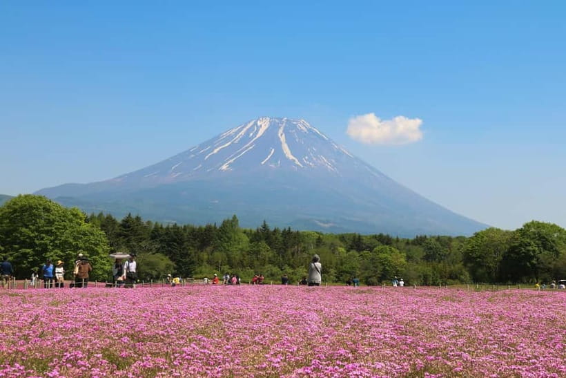 1-Day Mt Fuji and Hakone Sightseeing trip from Tokyo - Who this trip suits best, and who should rethink it