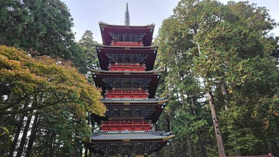 1 Day Nikko Wonders Tour from Tokyo - Who should book this Nikko Wonders day tour