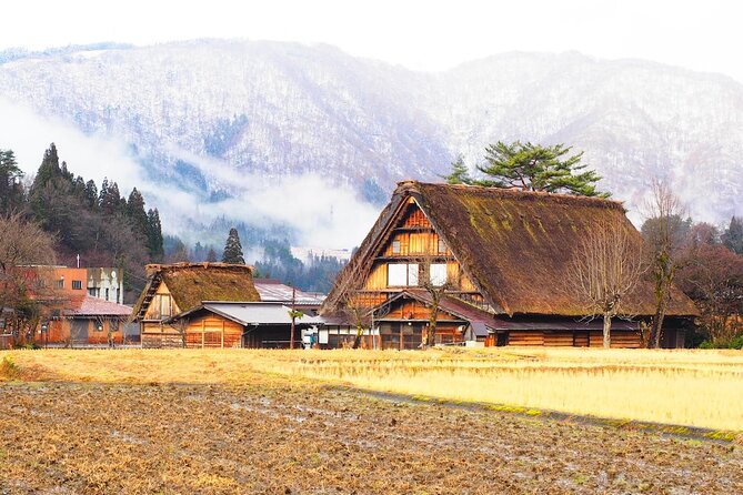 1 Day Private Charter Tour to Shirakawa-go & Takayama - Shirakawa-go gassho houses: your 2 hours to walk, photograph, and snack