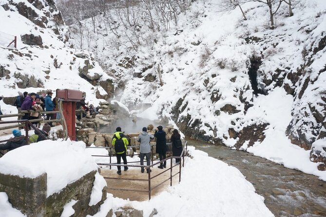 1-Day Snow Monkeys, Zenko-ji Temple & Sake in Nagano - Jigokudani Snow Monkey Park: the forest hike, then the magic