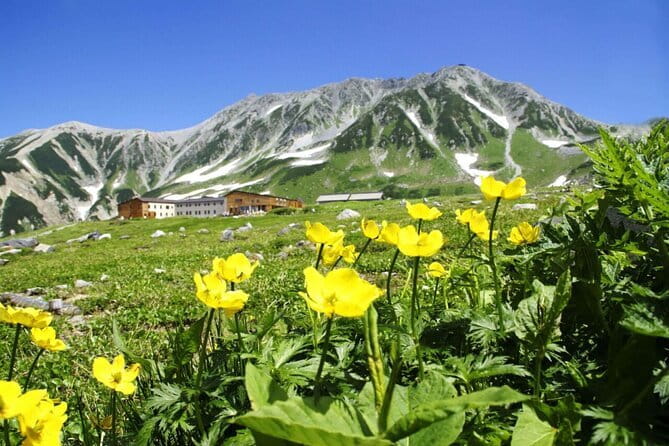 1-Day Tateyama-Kurobe Tour: Walking on the 'Roof of Japan' - Why the Tateyama-Kurobe Alpine Route feels like the Roof of Japan