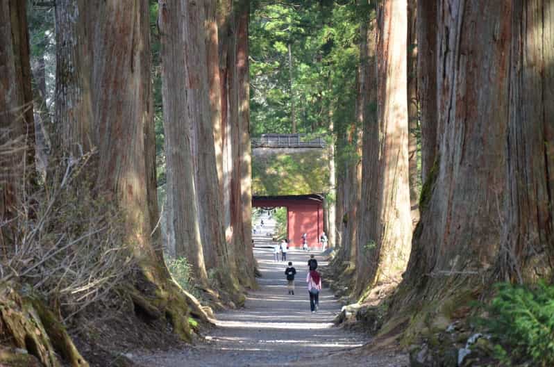 1-Day Togakushi: Soba making, Ninja Town and Hidden Shrines - Key highlights you will actually feel