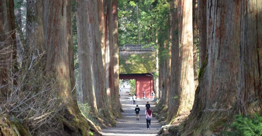 1-Day Togakushi: Soba making, Ninja Town and Hidden Shrines - From Nagano Station to Togakushi: the day’s simple rhythm