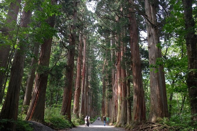 1-Day Togakushi Tour: Soba making, Ninja Town, and Hidden Shrines - Key points to know before you go