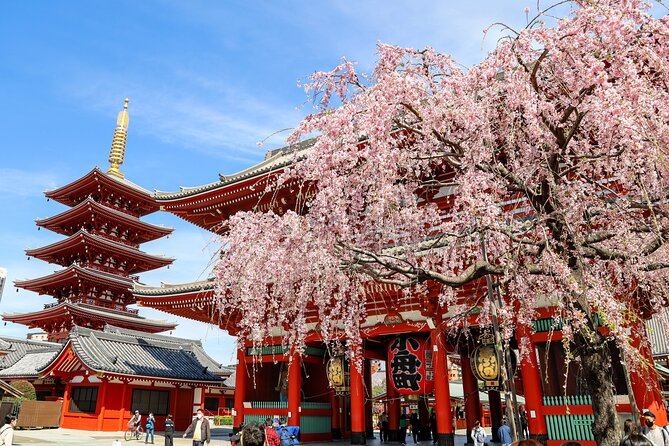 1-Day Tokyo Bus Tour - Key things I’d circle before you book