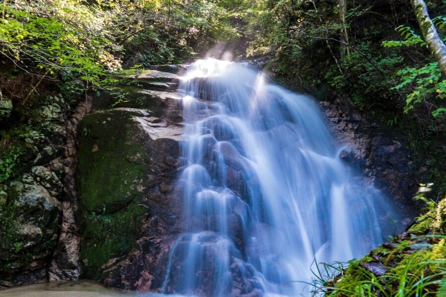 1-Day Tour from Nagoya: Hiking the Historic Nakasendo Trail - Comfort on the road: small group energy plus a proper bus