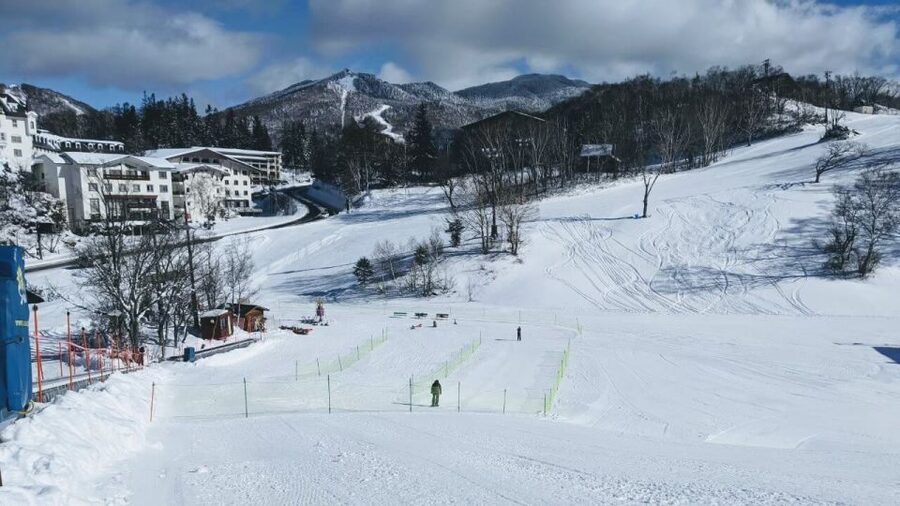 1 Day Tour: Snow Monkeys & Snow Fun in Shiga Kogen - Lunch at the slopes: refuel without wasting the day