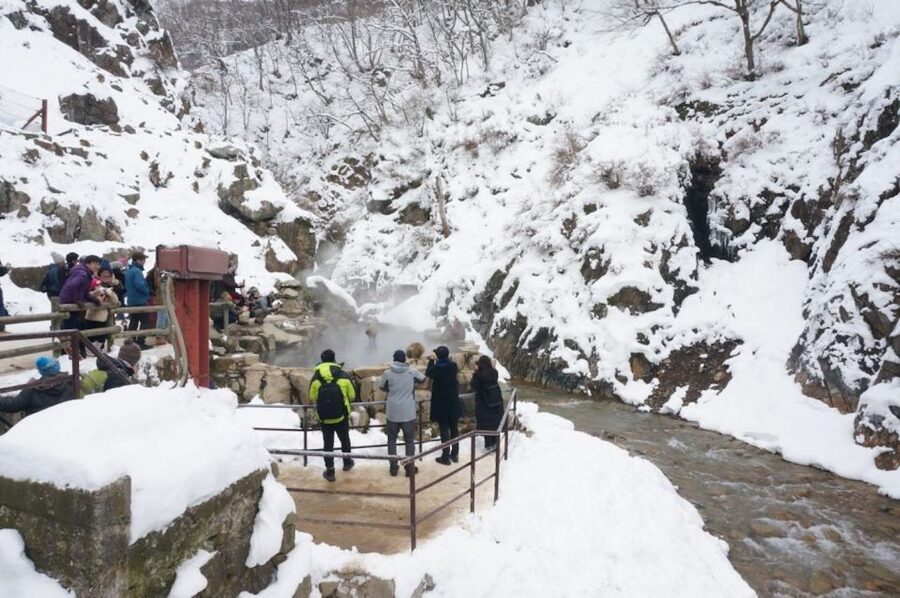 1 Day Tour: Snow Monkeys & Snow Fun in Shiga Kogen - Timing and pacing: what this day trip includes, and what it does not