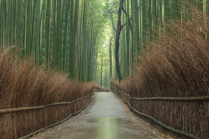 10 Must-see Spots in Kyoto One Day Private Tour (up to 7 people) - A 1-Day Kyoto Plan That Actually Uses Your Time