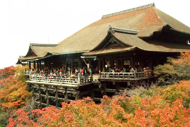 10 Must-see Spots in Kyoto One Day Private Tour (up to 7 people) - Arashiyama Bamboo Forest, Tenryu-ji, and the View Stops