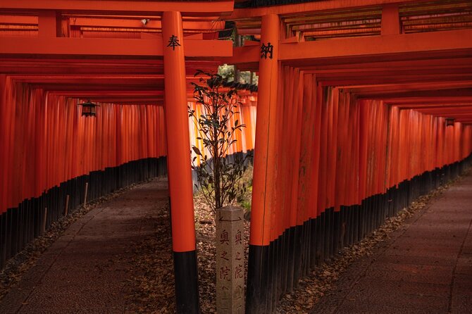 10 Must-see Spots in Kyoto One Day Private Tour (up to 7 people) - Sannenzaka and Ninenzaka, Yasaka Pagoda (From Outside), and Gion