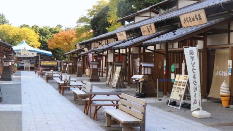 2.5-Hour Nagoya Tour: Castle History, Local Food & City View - Kinshachi Yokocho food break: snack browsing plus shopping
