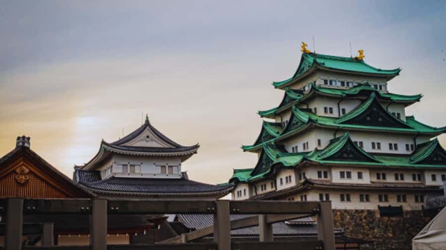 2.5-Hour Nagoya Tour: Castle History, Local Food & City View - English guide quality: what the best guides do