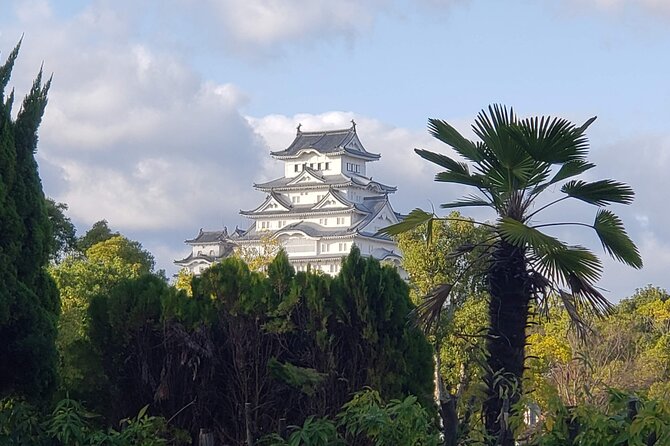 2.5 Hour Private History and Culture Tour in Himeji Castle - Why a private 2.5-hour tour works at Himeji Castle
