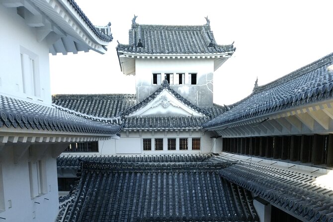 2.5 Hour Private History and Culture Tour in Himeji Castle - Photo spots, pacing, and staying comfortable with crowds