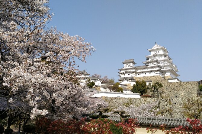 2.5 Hour Private History and Culture Tour in Himeji Castle - Who should book this tour, and who might skip it