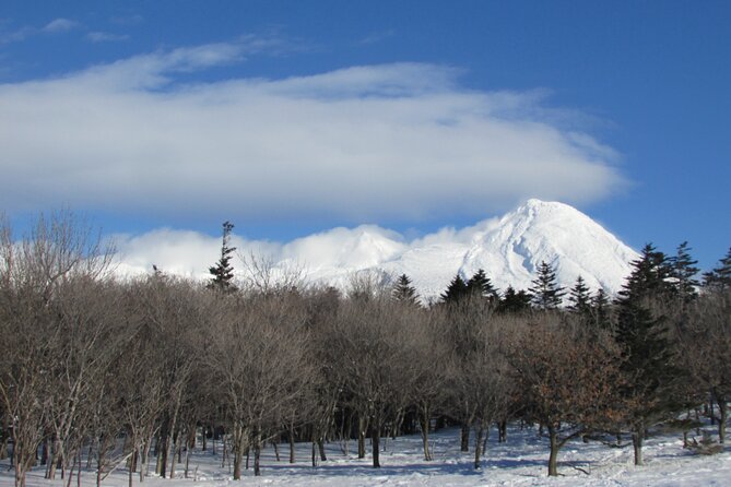 3.5hours Primeval Forest Snowshoe hike and Wildlife Watching Tour - Where this walk happens, and why it feels different