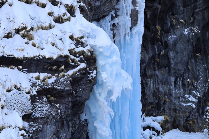 3.5hours Primeval Forest Snowshoe hike and Wildlife Watching Tour - Small group size, and why it affects your experience
