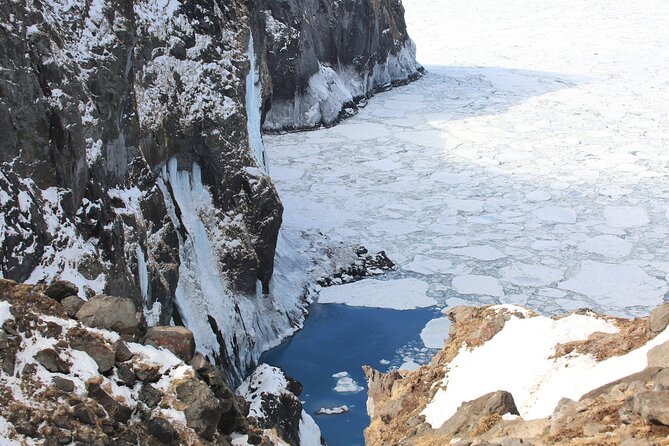 3.5hours Primeval Forest Snowshoe hike and Wildlife Watching Tour - Snowshoe hiking: what to expect on the ground