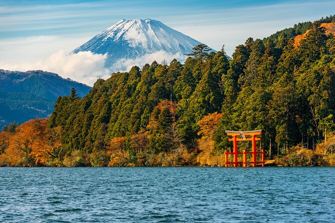 3 Day Japan Highlights Tour: Tokyo, Mt.Fuji, Nara, Kyoto, Osaka - Should you book this 3-day Japan Highlights tour?