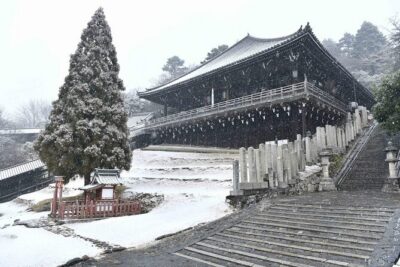 3 Days Private Osaka Kyoto and Nara Tour With English Driver