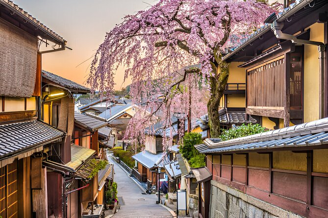 3 Days Private Osaka Kyoto and Nara Tour With English Driver - Should you book this private 3-day tour?