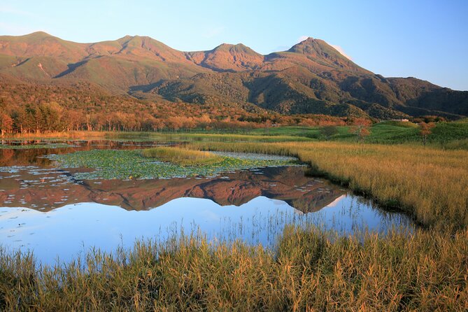 3hours Nature Guided Tour in Shiretoko Five Lakes - The Shiretokogo Lake Forest Floor Loop: Where the Trail Starts to Feel Alive