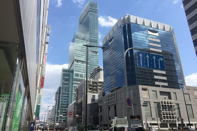 4/5/6 Hours Private Osaka Tour Designed for Cruise Passengers - What makes it truly private, real pacing and real questions