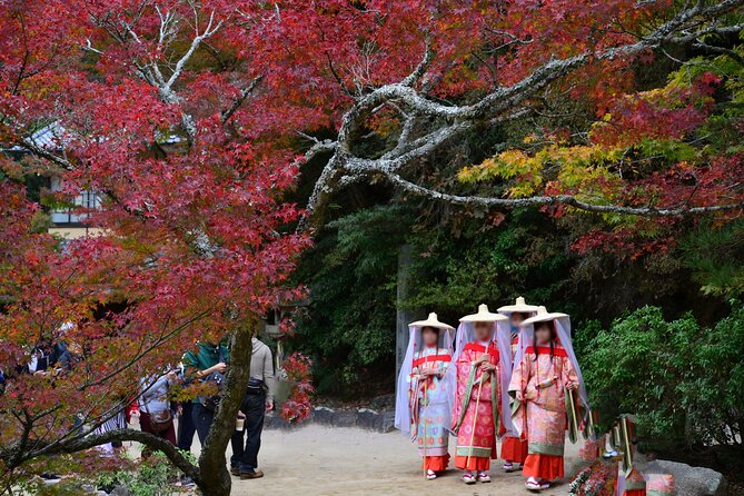 4 Hour Miyajima PRIVATE Tour - Private guide perks: customizing food, crafts, and pace