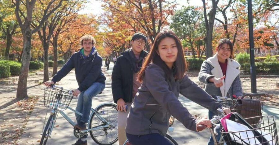 5-Hour Osaka Highlights Bike Tour with Lunch - Small-group comfort and guide style you can count on