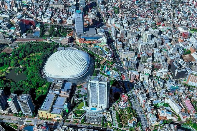 75-Min Mt. Fuji Half Day Private Helicopter Tour - Tokyo from above: the views you may actually remember