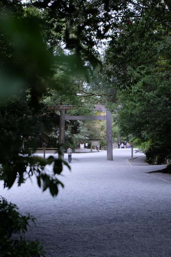 A trip to visit Ise Grand Shrine and experience Ama culture - Ama culture explained through food and stories