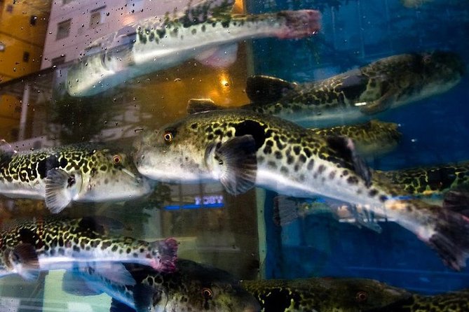 Adventurous Japanese Food Tour in Tokyo - Big-stomach tastings: fugu, horse, whale, and familiar favorites