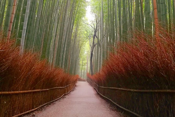 Afternoon Kyoto Bike Tour: Bamboo Forest, Monkeys & Hidden Spots - Stop 3: Tenryu-ji Temple and the Sogenchi Teien garden stroll