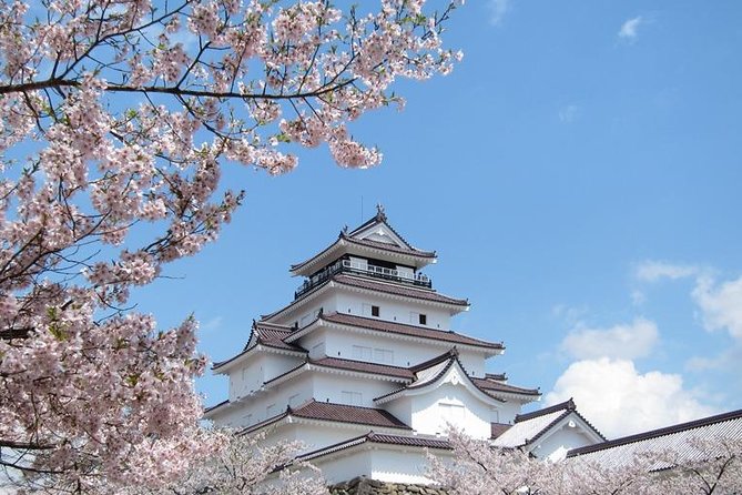 Aizu 4hr Private Tour with Government-Licensed Guide - Government-licensed guide: what you get besides translation