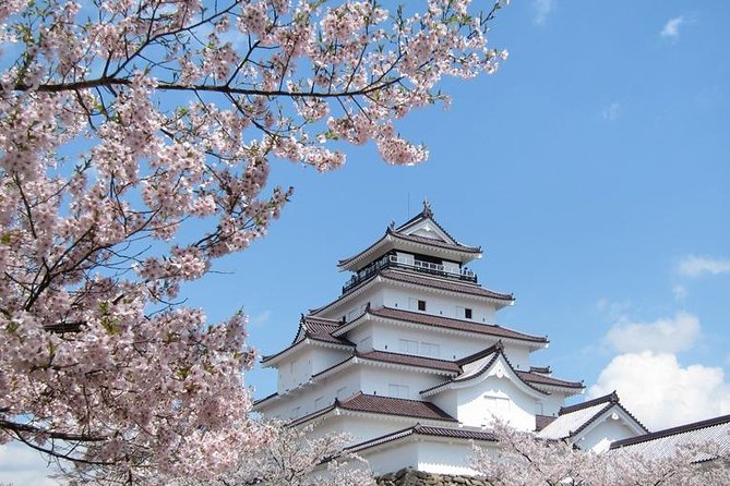 Aizu 6hr Private Tour with Government-Licensed Guide - Aizuwakamatsu in a half-day, and why private beats hopping