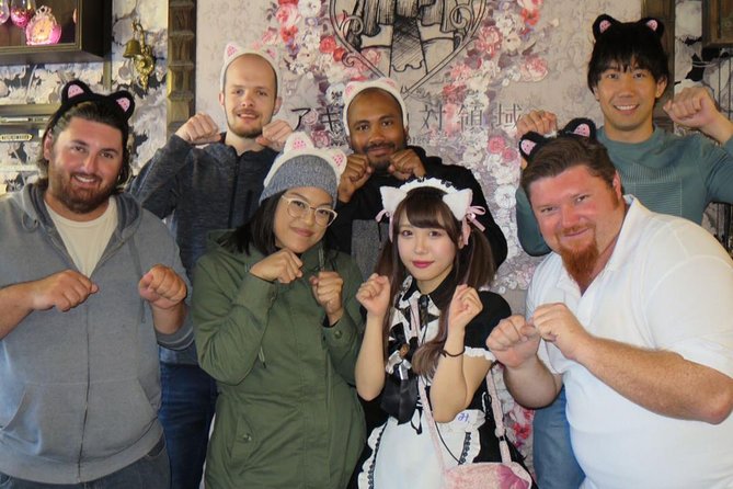 Akihabara Anime & Game Adventure Walking Tour (Group or Private) - Entering Akihabara the smart way: guide, not wandering