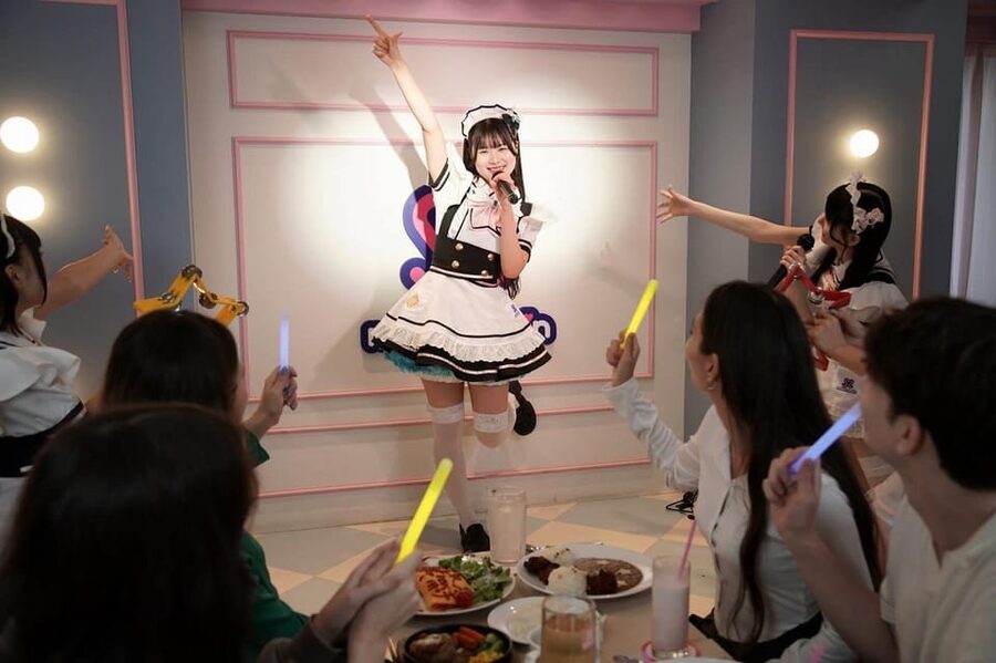 Akihabara: Anime & Gaming Adventure Tour (Group or Private) - Key highlights worth planning for