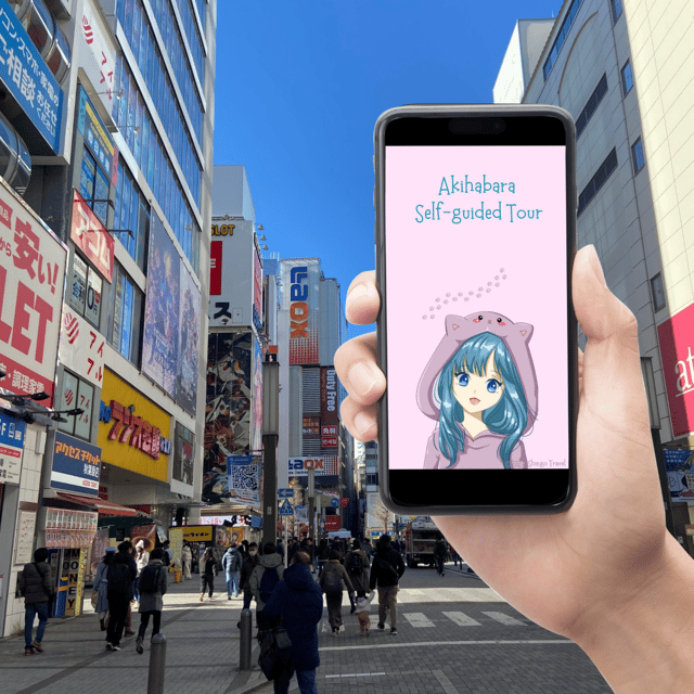 Akihabara: Self-Guided Tour with a special brochure - Common snags to plan for (and how to avoid them)