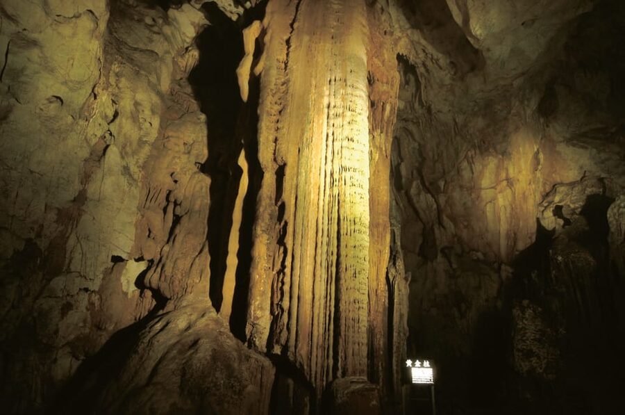 Akiyoshido Cave: Entrance Ticket - Elevator to Akiyoshidai Plateau: the route design that saves your legs
