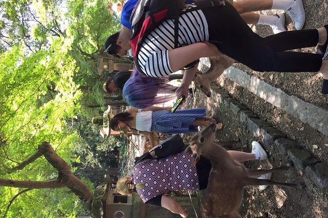 All must-sees in 3 hours - Nara Park Classic Tour! From JR Nara! - Practical tips for walking, deer moments, and great photos