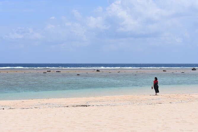 Amami Oshima Mangrove Kayaking, Waterfall and Cape Walking Tour - Why Amami Oshima mangroves feel different from regular nature tours