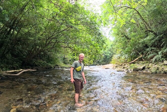 Amami Oshima Mangrove Kayaking, Waterfall and Cape Walking Tour - The mangrove primeval forest kayaking section: tide, stillness, and your best chance to slow down