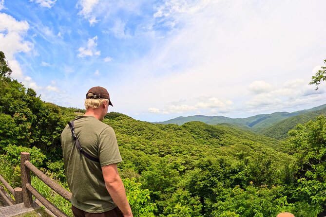 Amami Oshima Mangrove Kayaking, Waterfall and Cape Walking Tour - Price and value: what $142 buys on Amami Oshima
