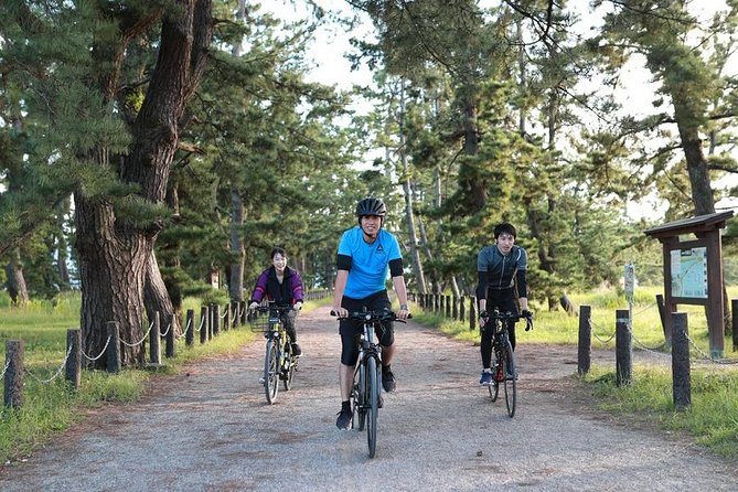 Amanohashidate Sand bar & culture e-bike tour - E-bike comfort and the guide’s route logic